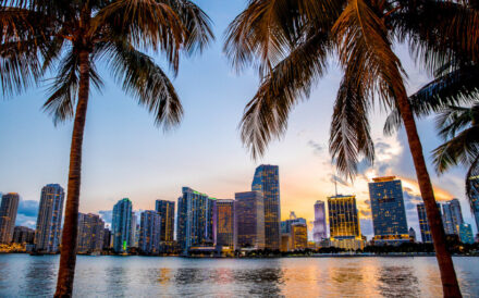 Miami-based Starwood Capital Group has hired Rob Tanenbaum as managing director and head of North American hotel asset management.